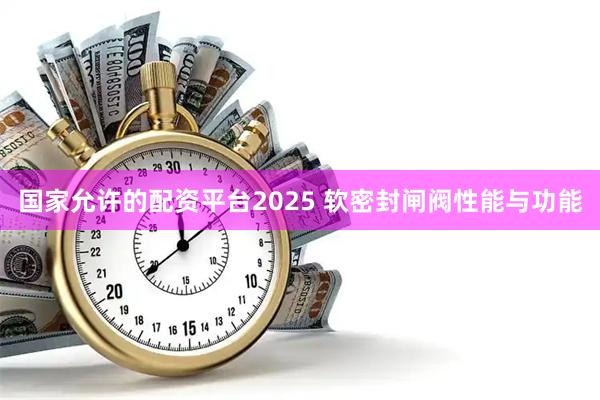 国家允许的配资平台2025 软密封闸阀性能与功能